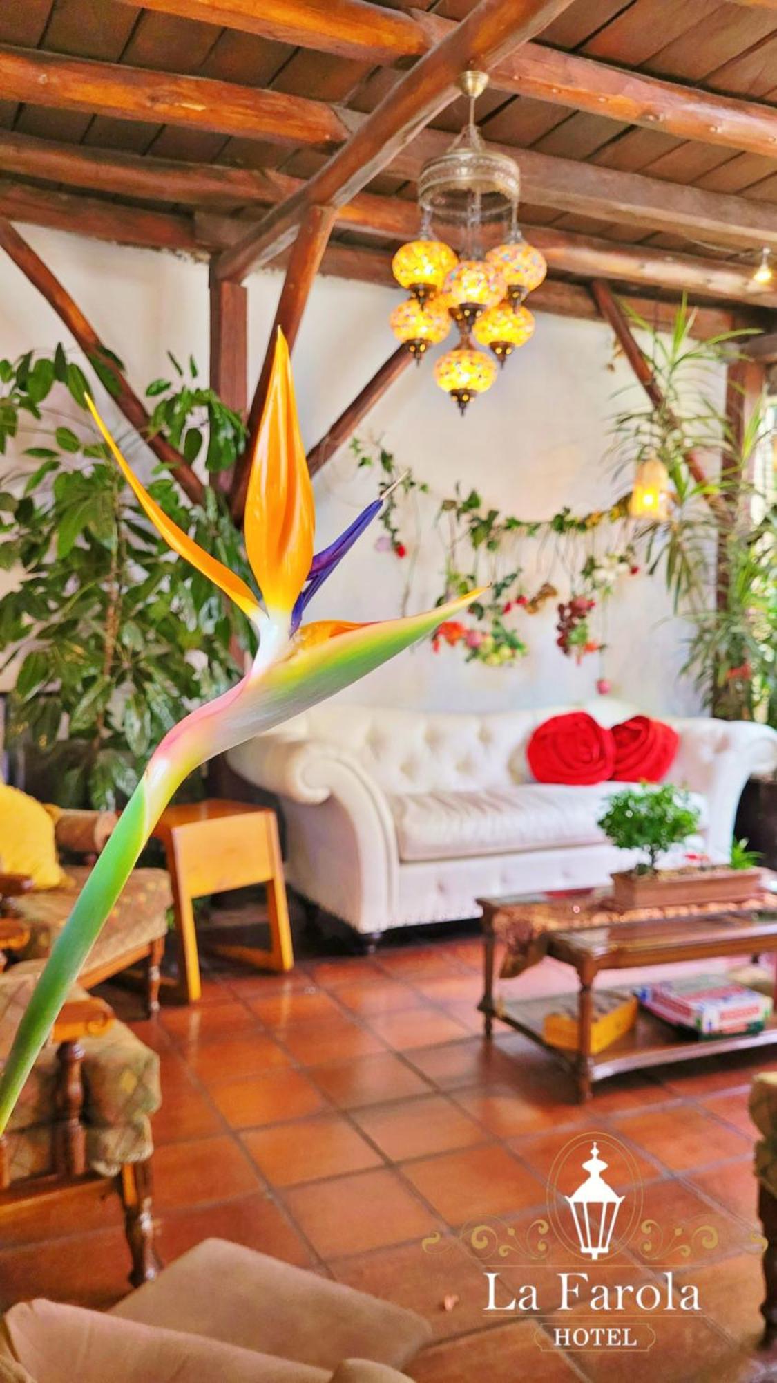 La Farola Hotel 3*