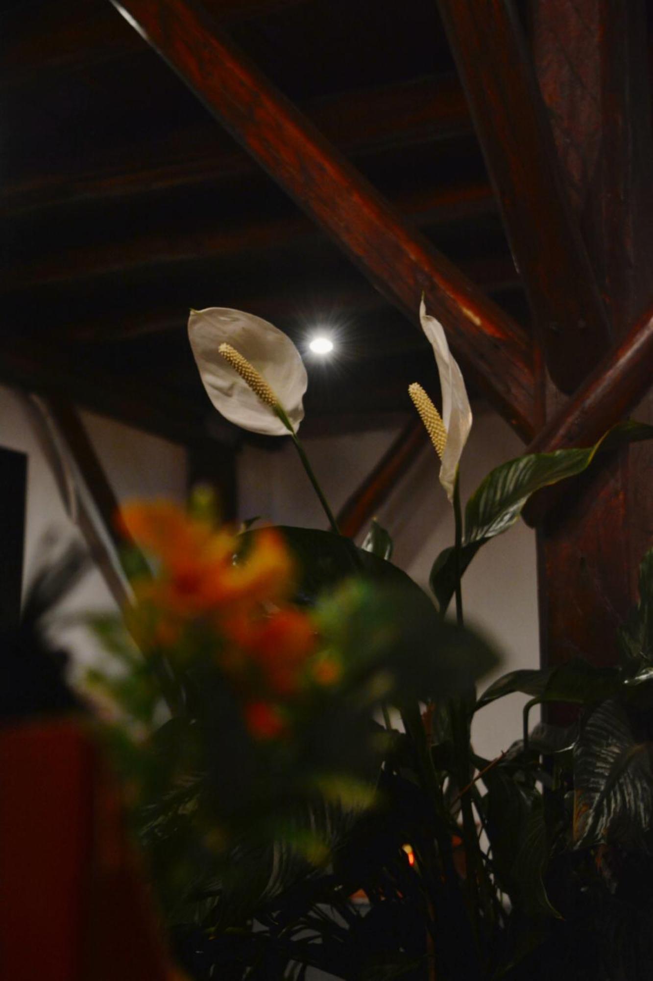 La Farola Hotel Cuenca